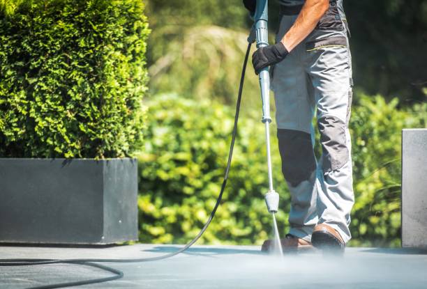 Professional Pressure Washing Services in Greenwood, DE